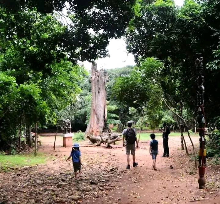 Foret sacrée de kpassè